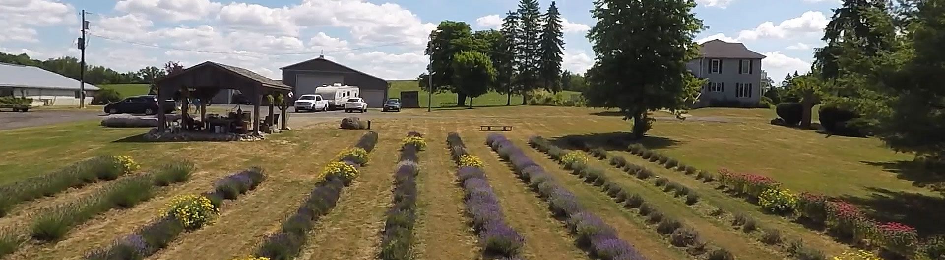 Farm House view